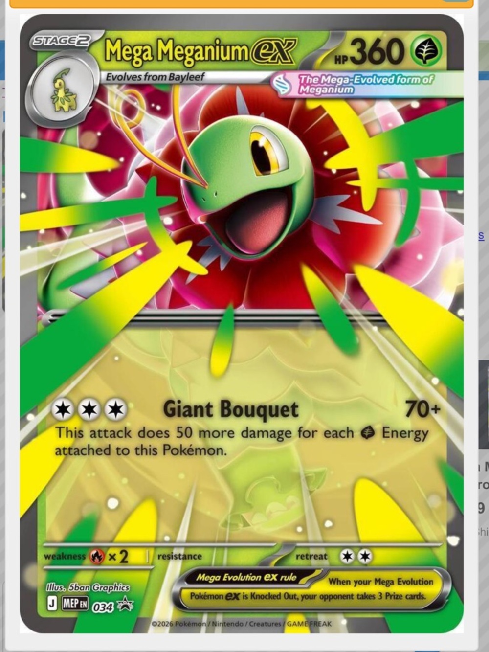 JUMBO Mega Meganium Ex #34 Pokemon Promo